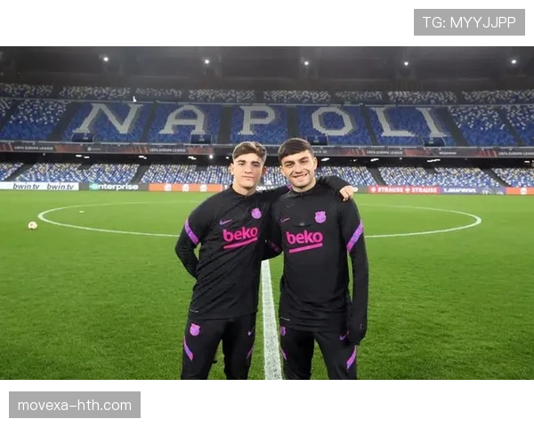 加维哈维时代回忆